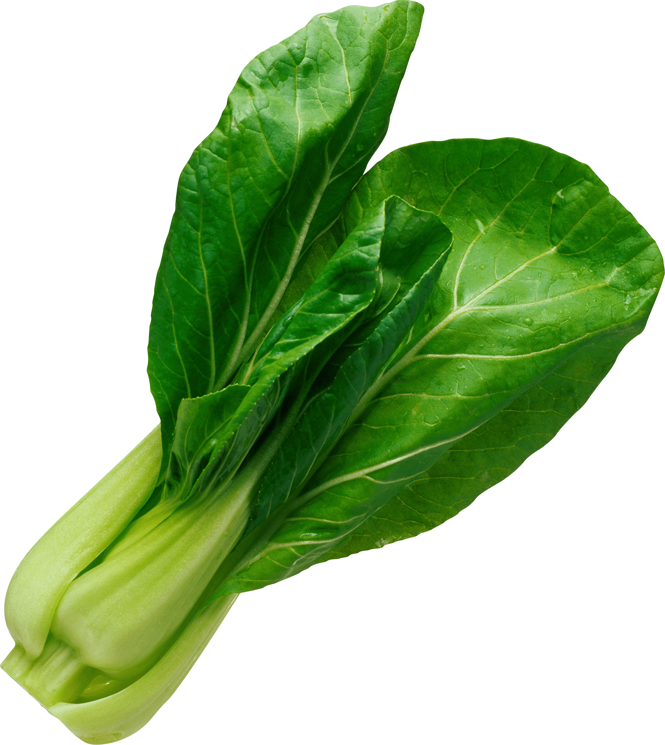 Salad Leaf Png Image Transparent PNG Image