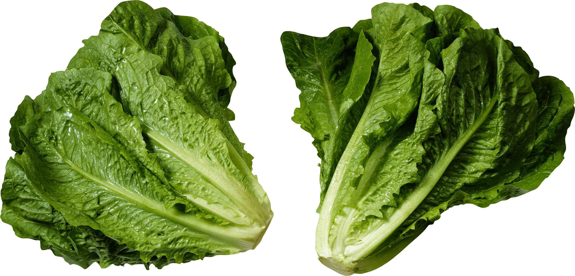 Green Salad Png Image Transparent PNG Image