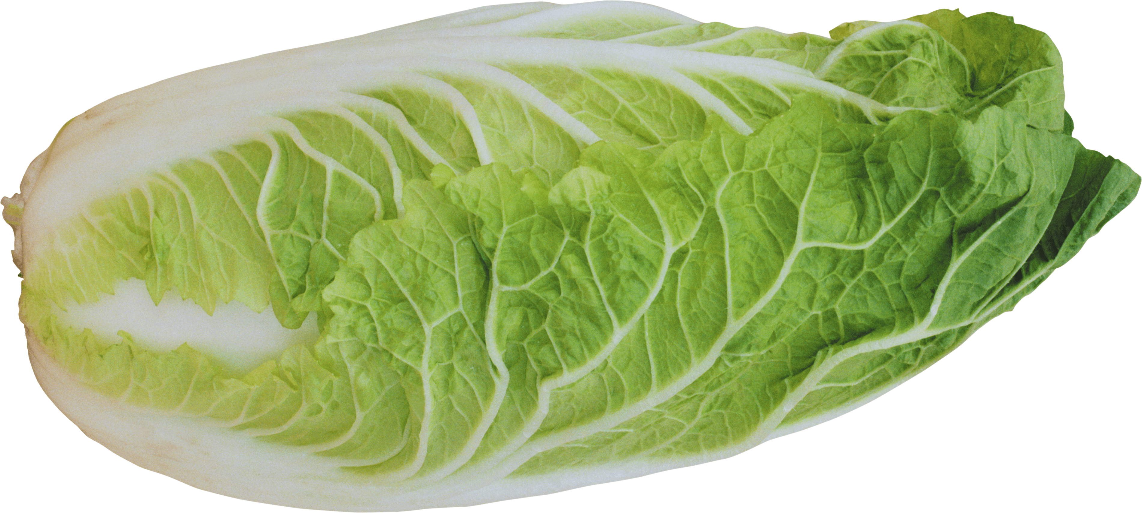 Salad Png Image Transparent PNG Image