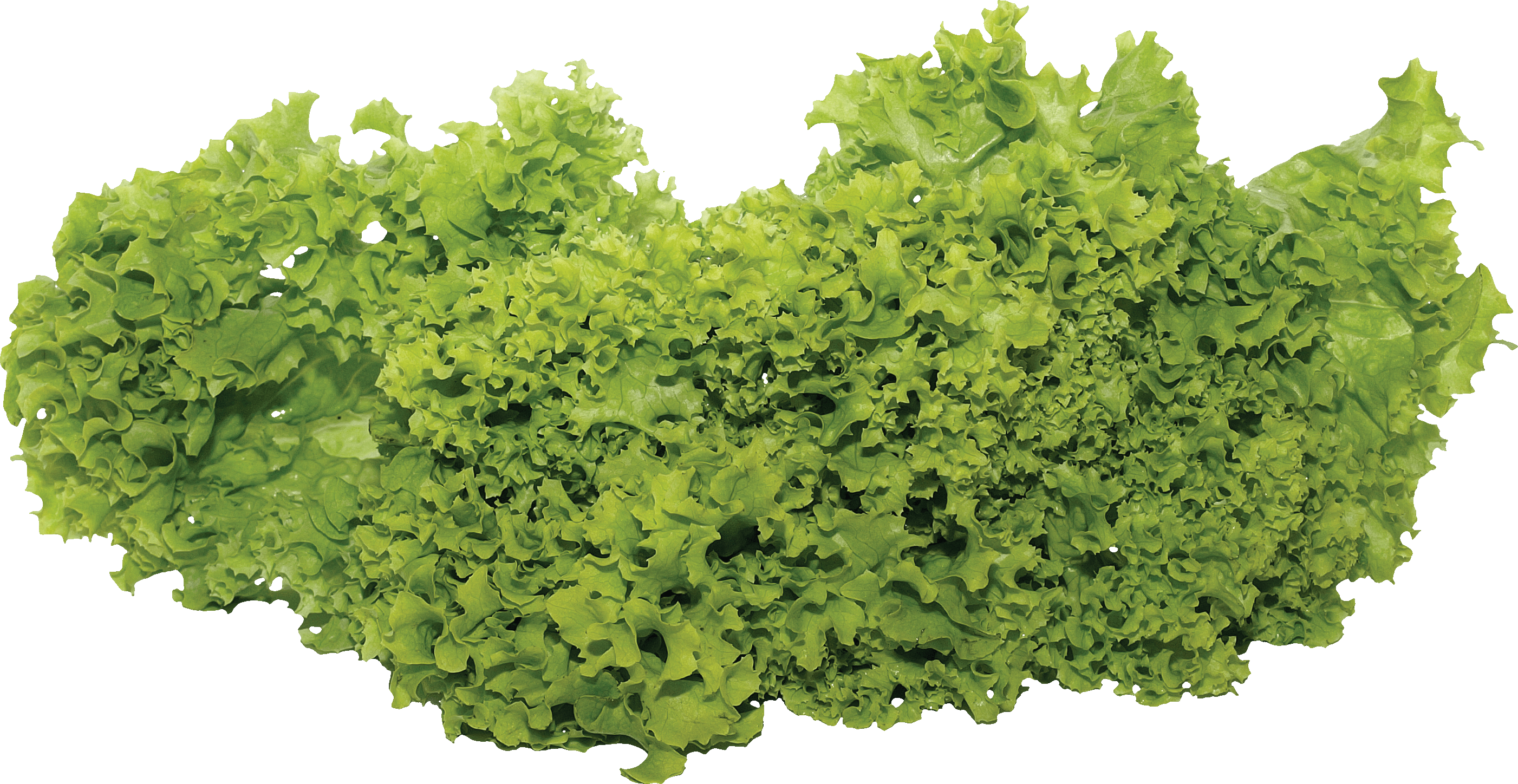 Green Salad Png Image Transparent PNG Image