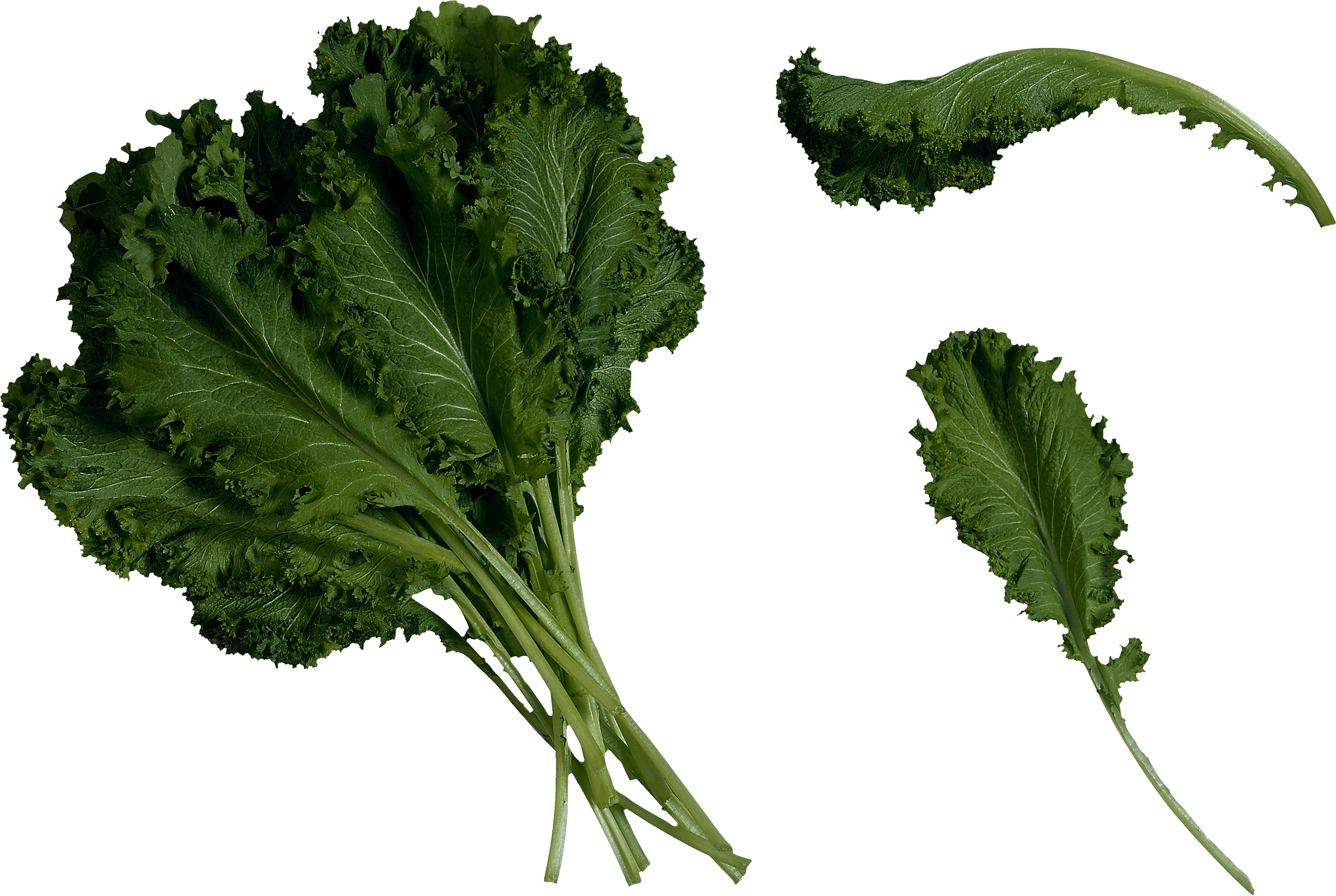 Salad Png Image Transparent PNG Image