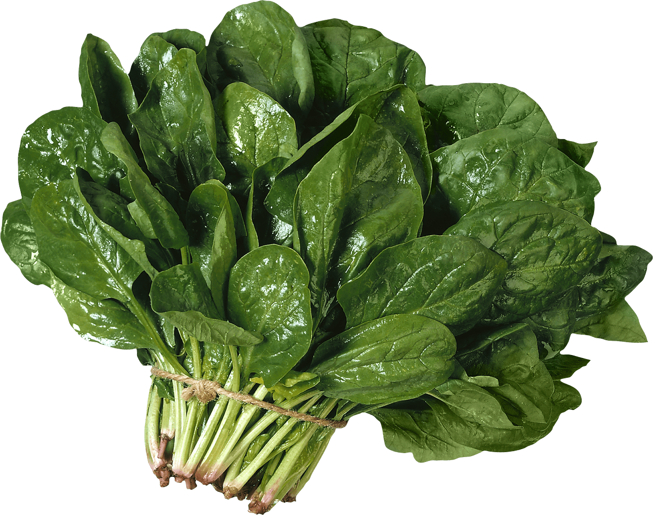 Salad Png Image Transparent PNG Image