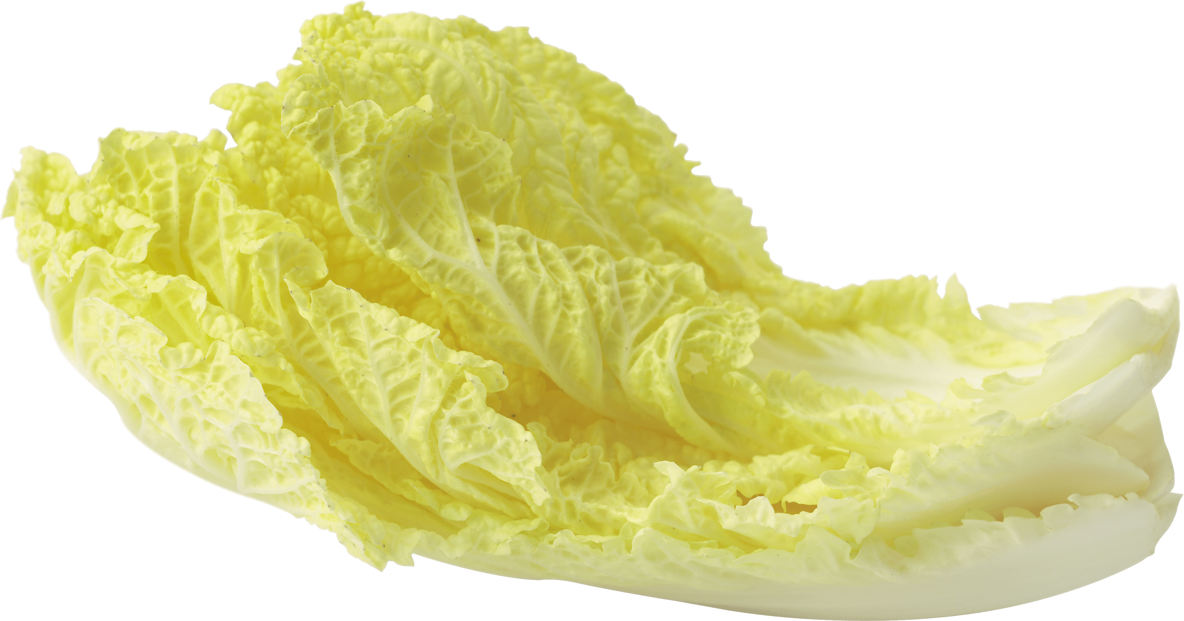 Salad Leaf Png Image Transparent PNG Image