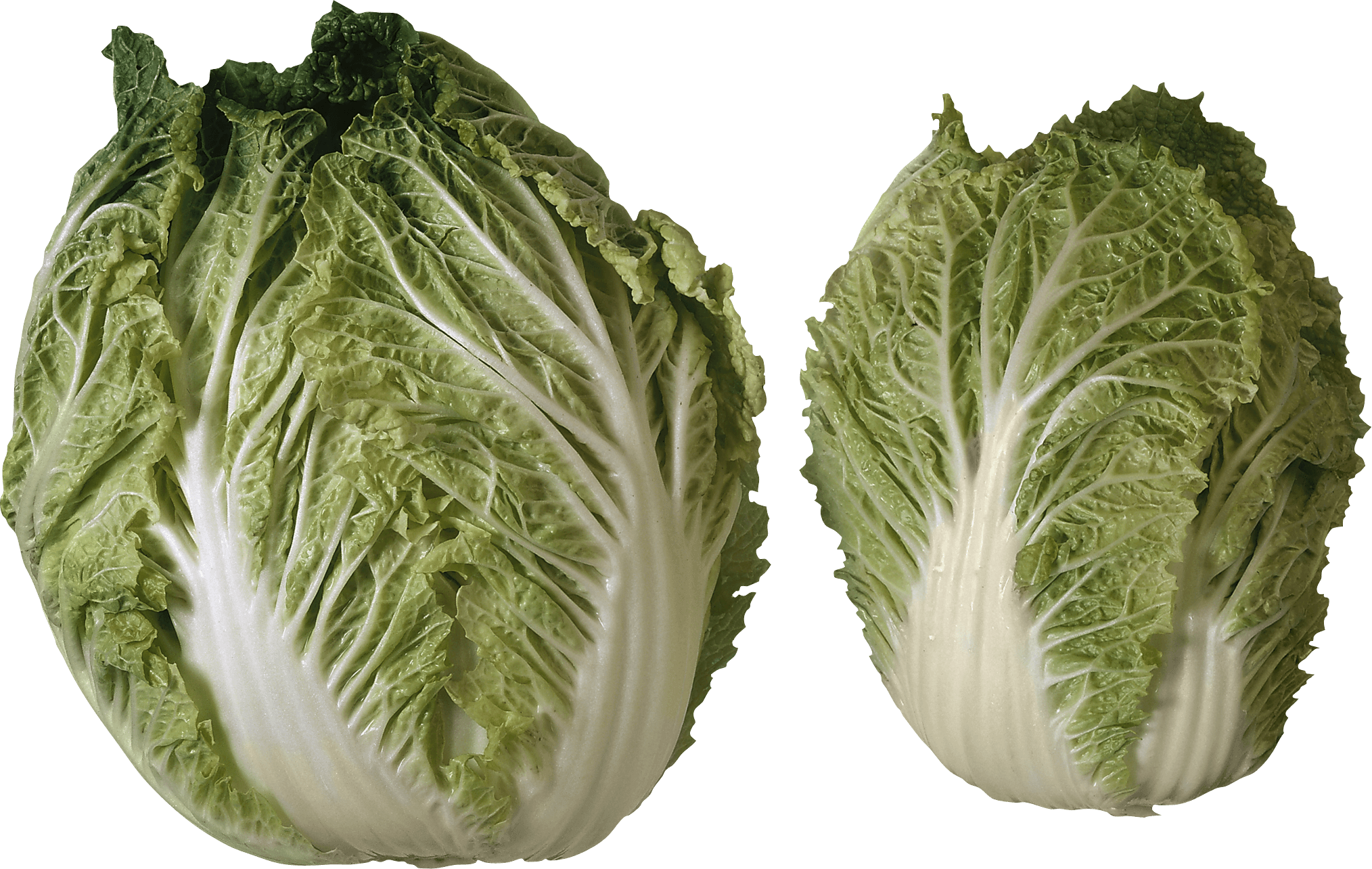 Salad Png Image Transparent PNG Image