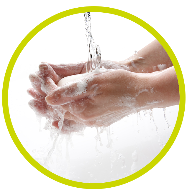 Picture Washing Hand PNG Download Free Transparent PNG Image