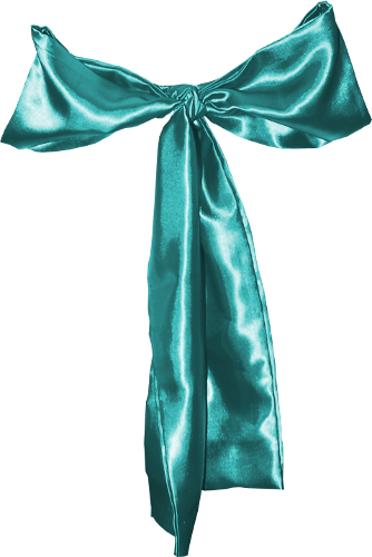 Satin Image Transparent PNG Image