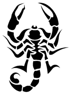 Scorpion Tattoos Png Picture Transparent PNG Image