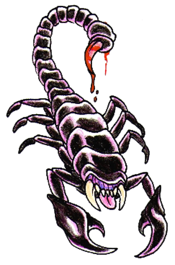 Scorpion Tattoos Png Clipart Transparent PNG Image