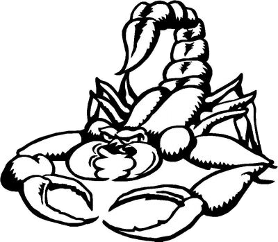 Scorpion Tattoos Free Png Image Transparent PNG Image