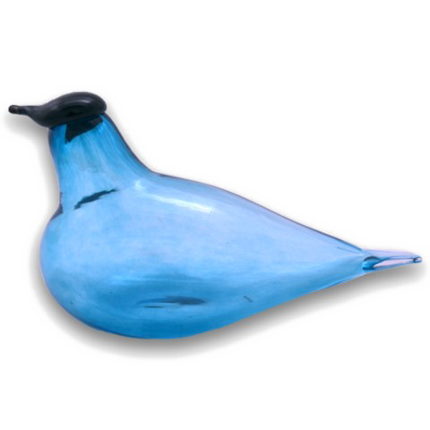 Ocean Birds Photos PNG Free Photo Transparent PNG Image