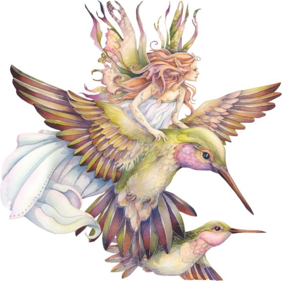 Fairy Bird Download HQ PNG Transparent PNG Image