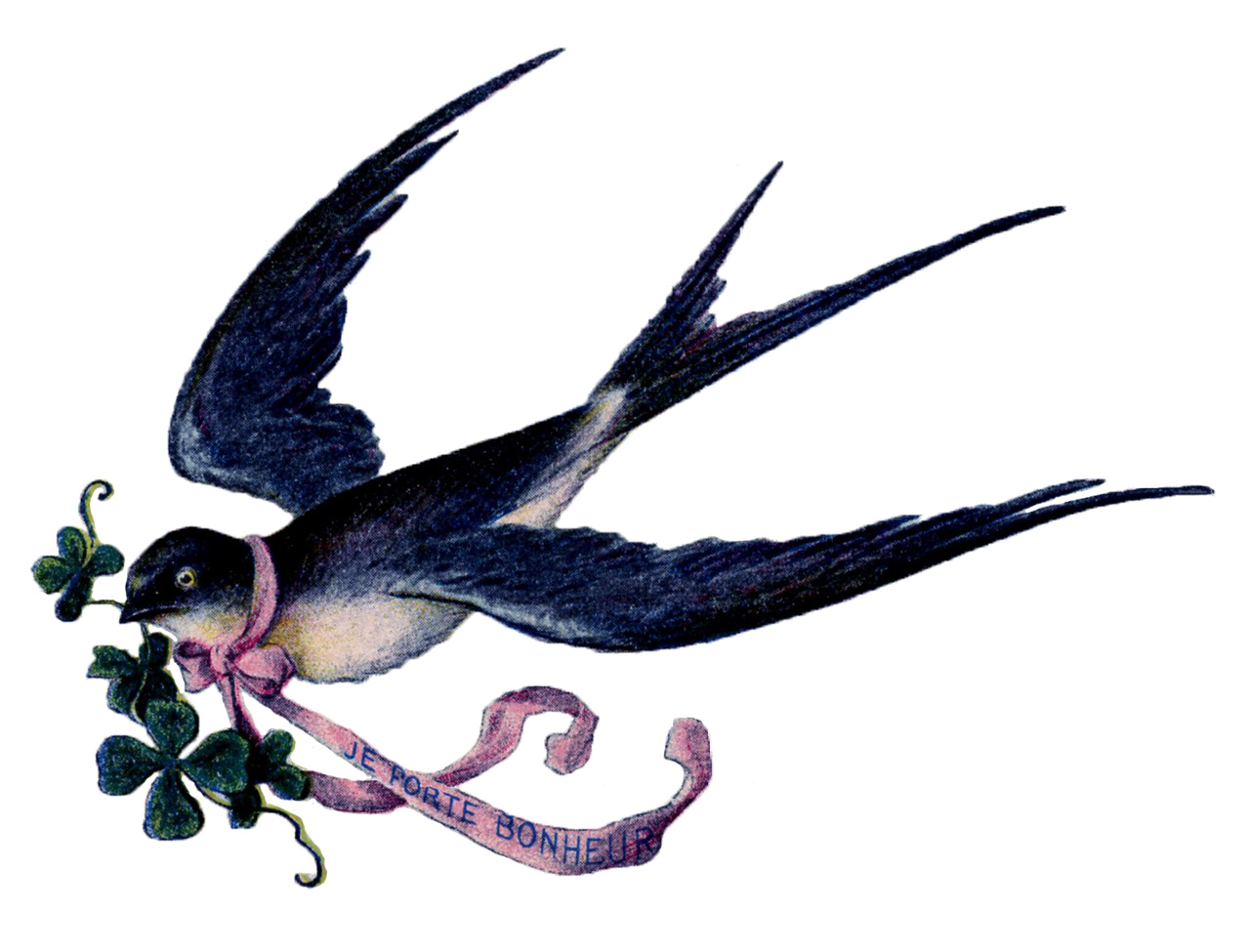 Fairy Bird Download Free HQ Image Transparent PNG Image