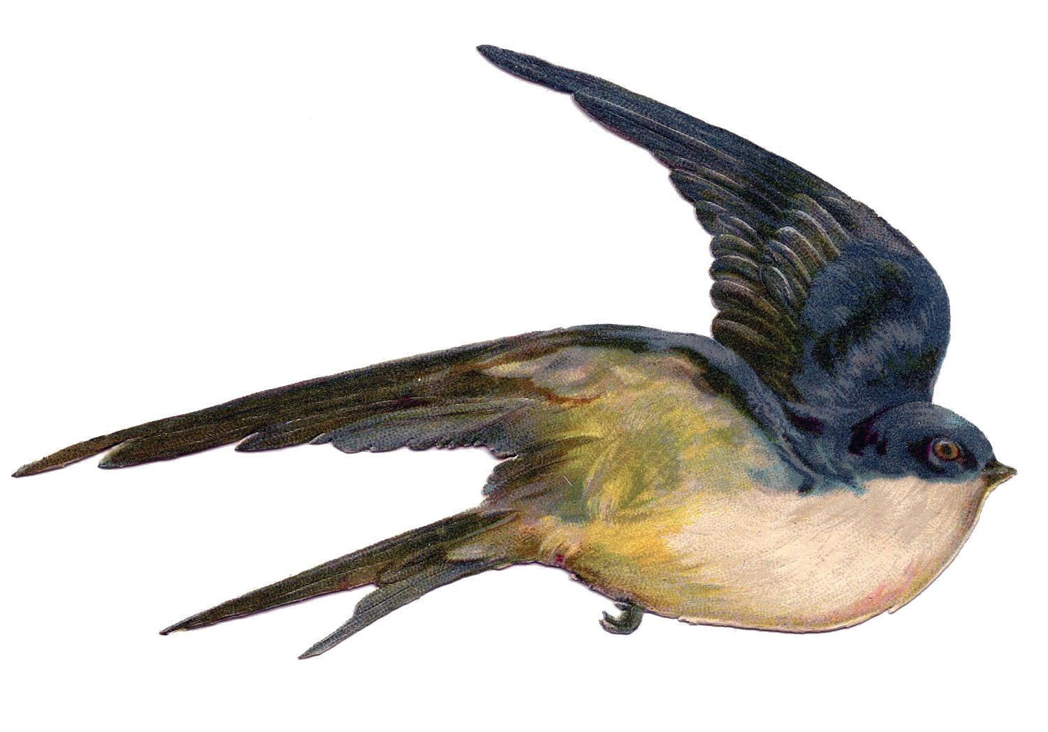 Fairy Bird HQ Image Free PNG Transparent PNG Image