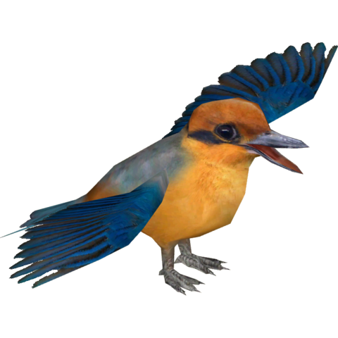 Kingfisher Image Download HD PNG Transparent PNG Image