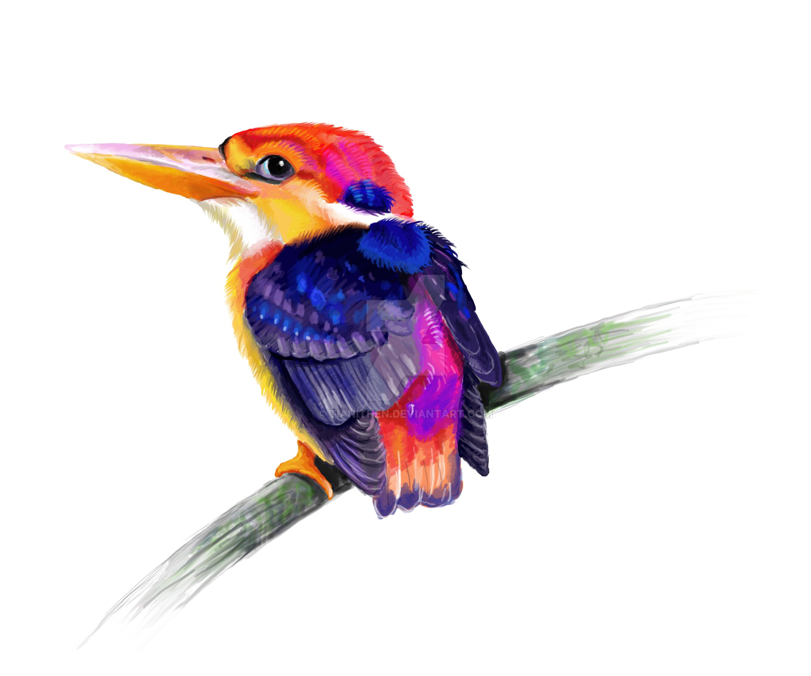 Kingfisher Free PNG HQ Transparent PNG Image