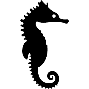 Seahorse Picture Transparent PNG Image