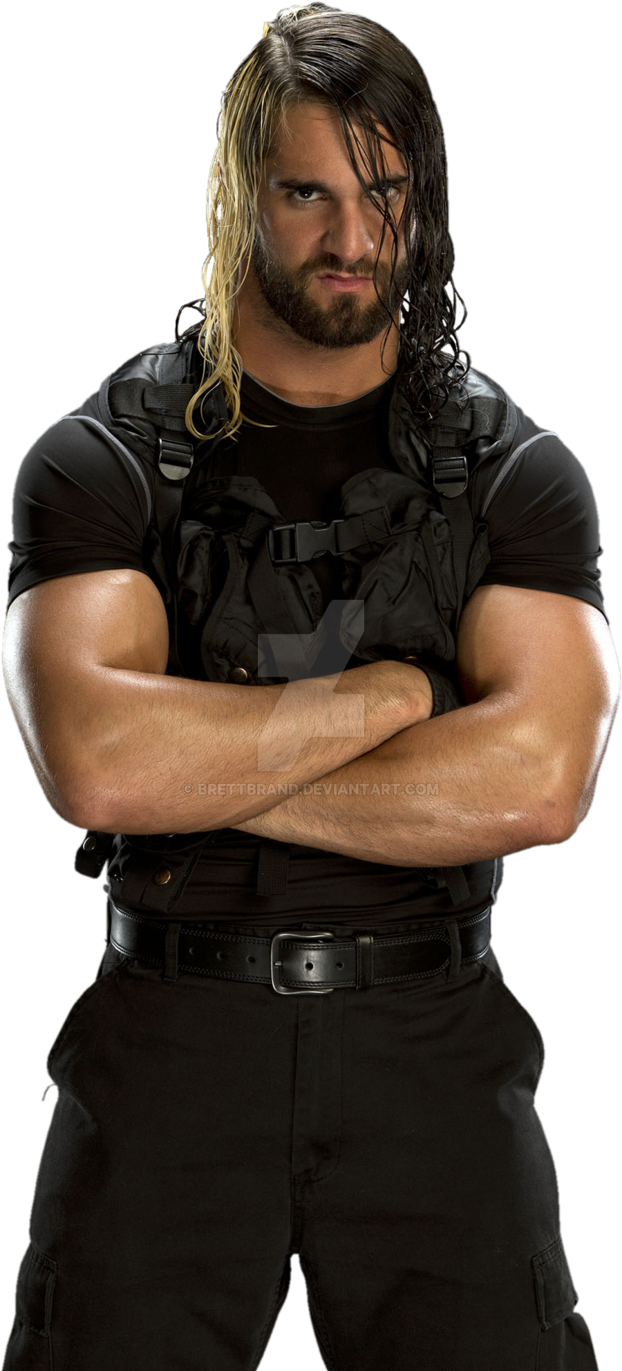 Seth Rollins Free Png Image Transparent PNG Image