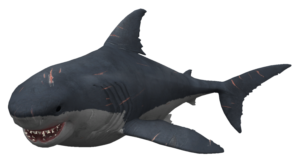 Megalodon Shark Aquatic Free Photo Transparent PNG Image