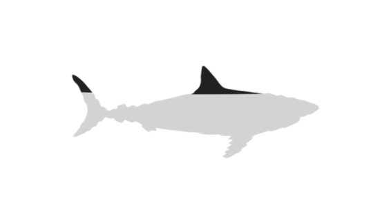 Megalodon Shark Aquatic Photos Free Transparent Image HQ Transparent PNG Image