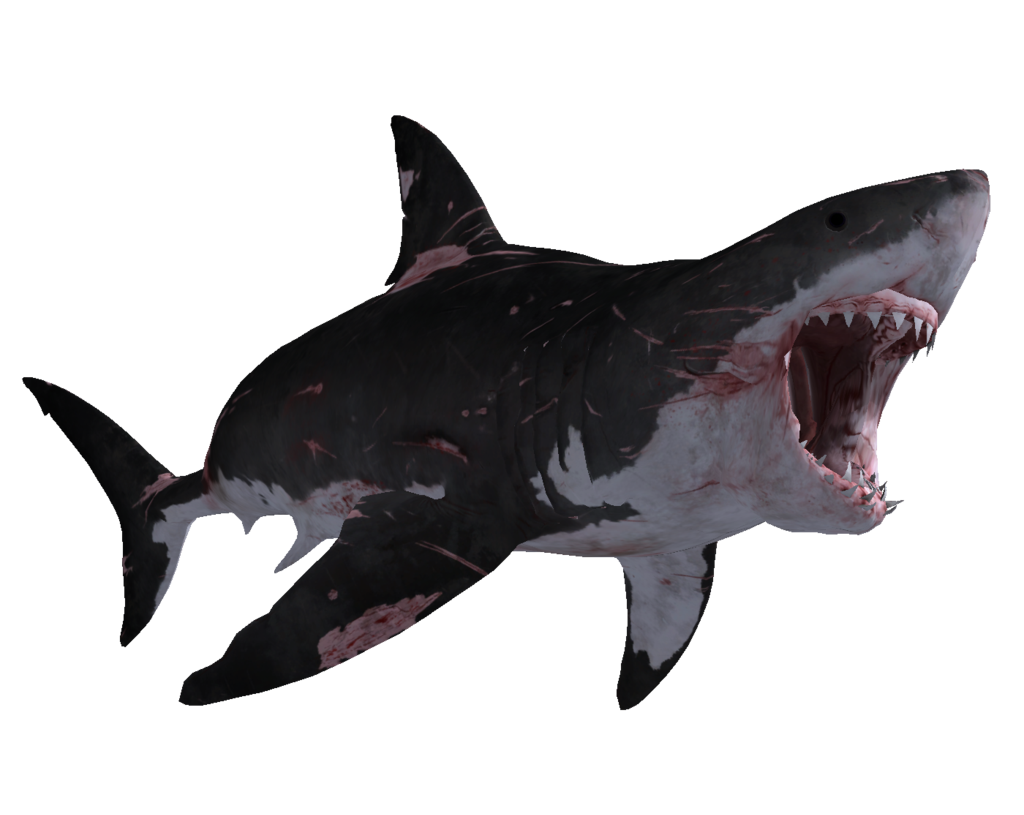 Big Shark Megalodon HD Image Free Transparent PNG Image