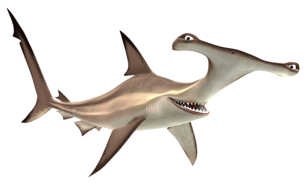 Shark Nemo Pic Free HQ Image Transparent PNG Image