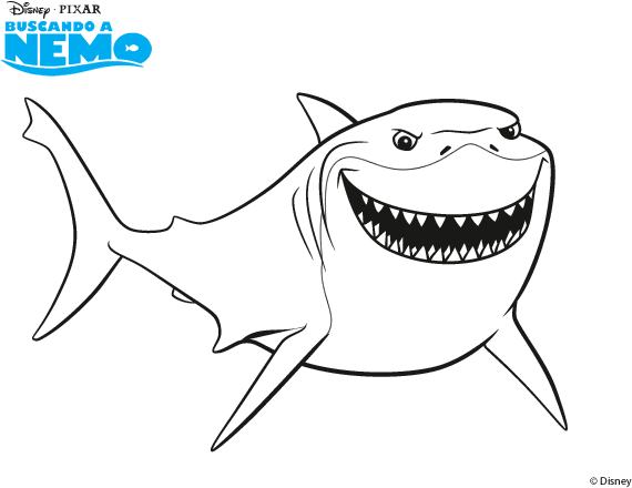 Shark Vector Nemo Free Transparent Image HQ Transparent PNG Image