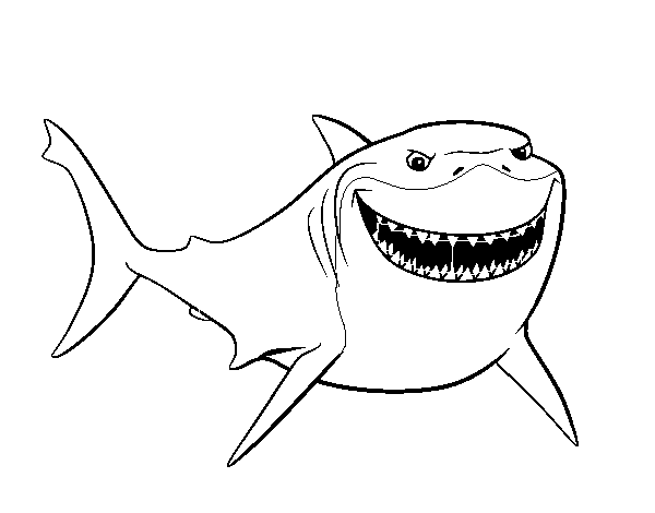 Pic Shark Vector Nemo Free Photo Transparent PNG Image