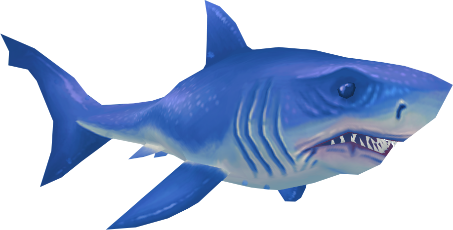 Blue Real Shark Photos Free Download PNG HQ Transparent PNG Image