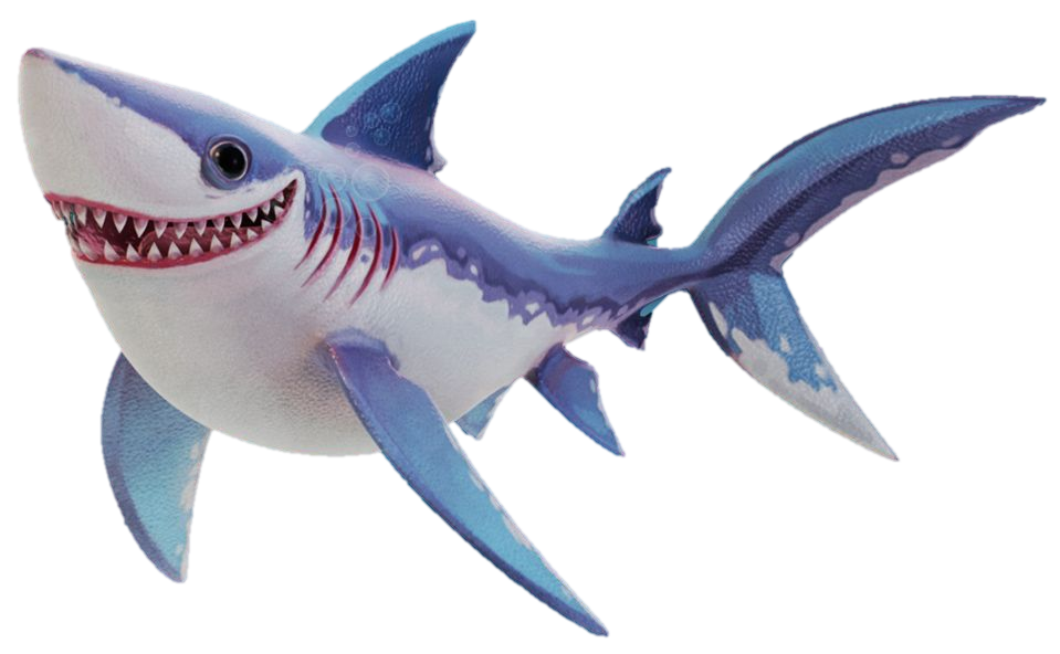 Blue Real Shark Download Free Image Transparent PNG Image