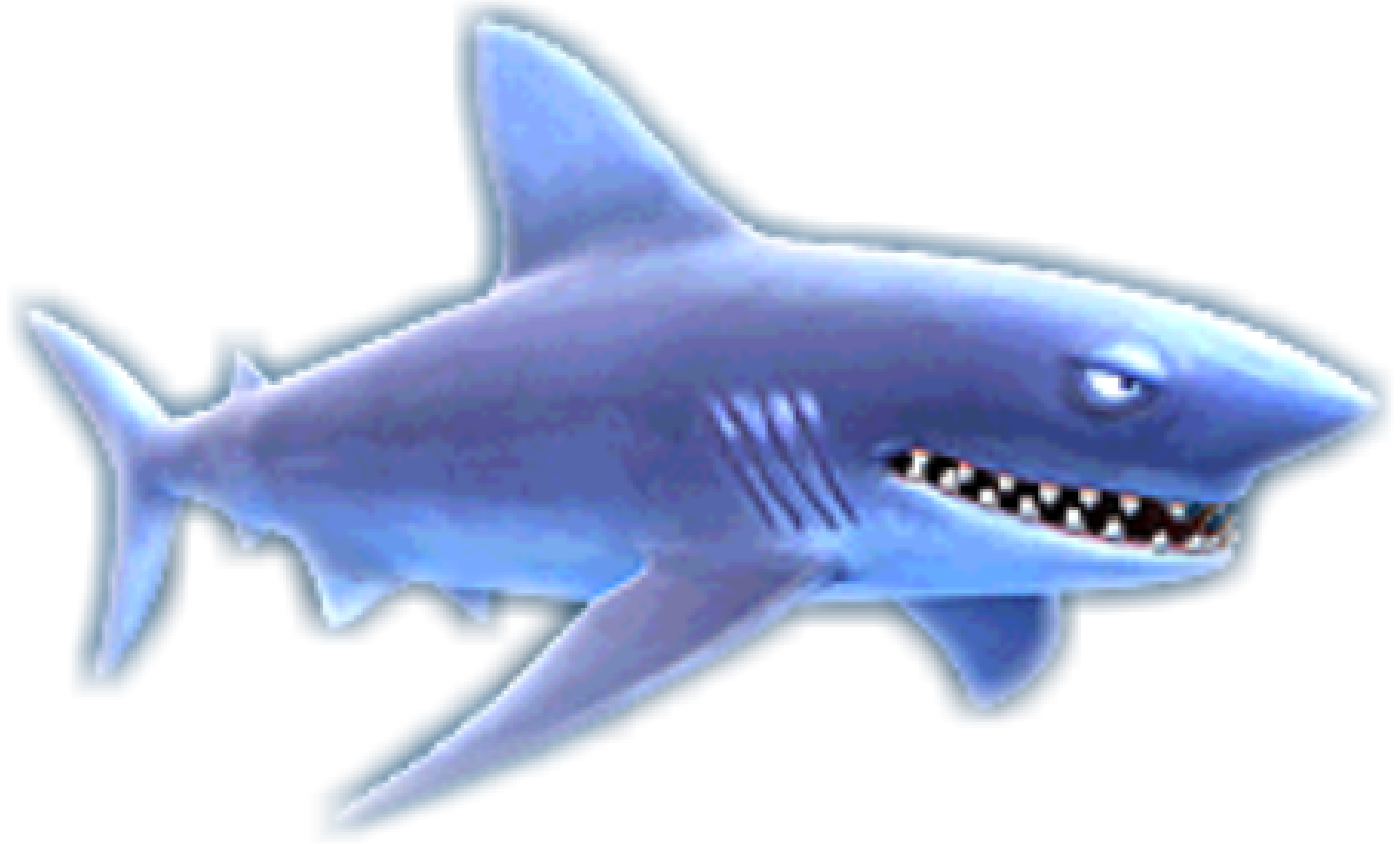 Real Shark Free Download Image Transparent PNG Image