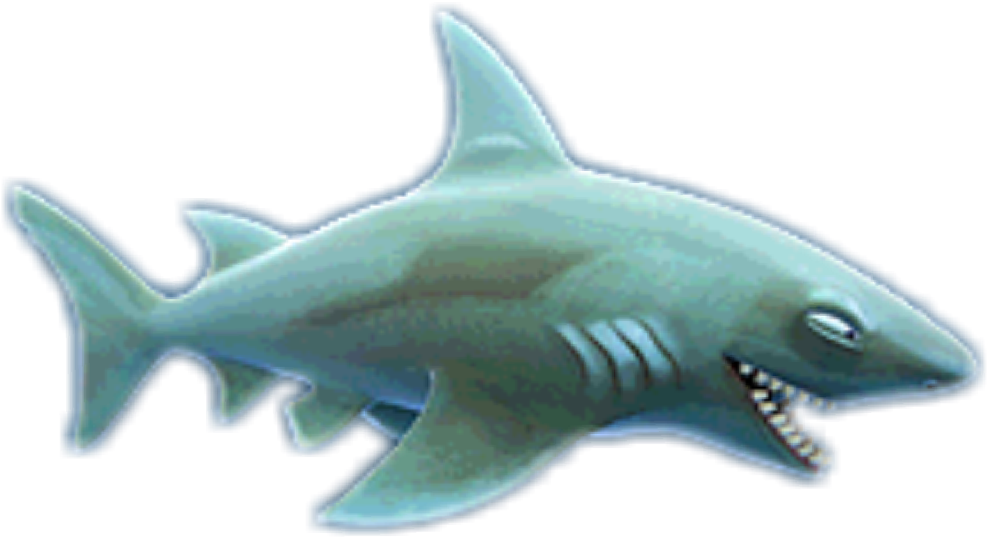 Real Shark Free Clipart HQ Transparent PNG Image