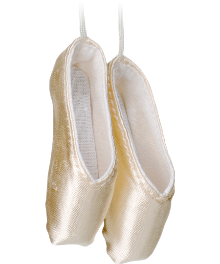 Pointe Shoes Download Free Transparent Image HQ Transparent PNG Image