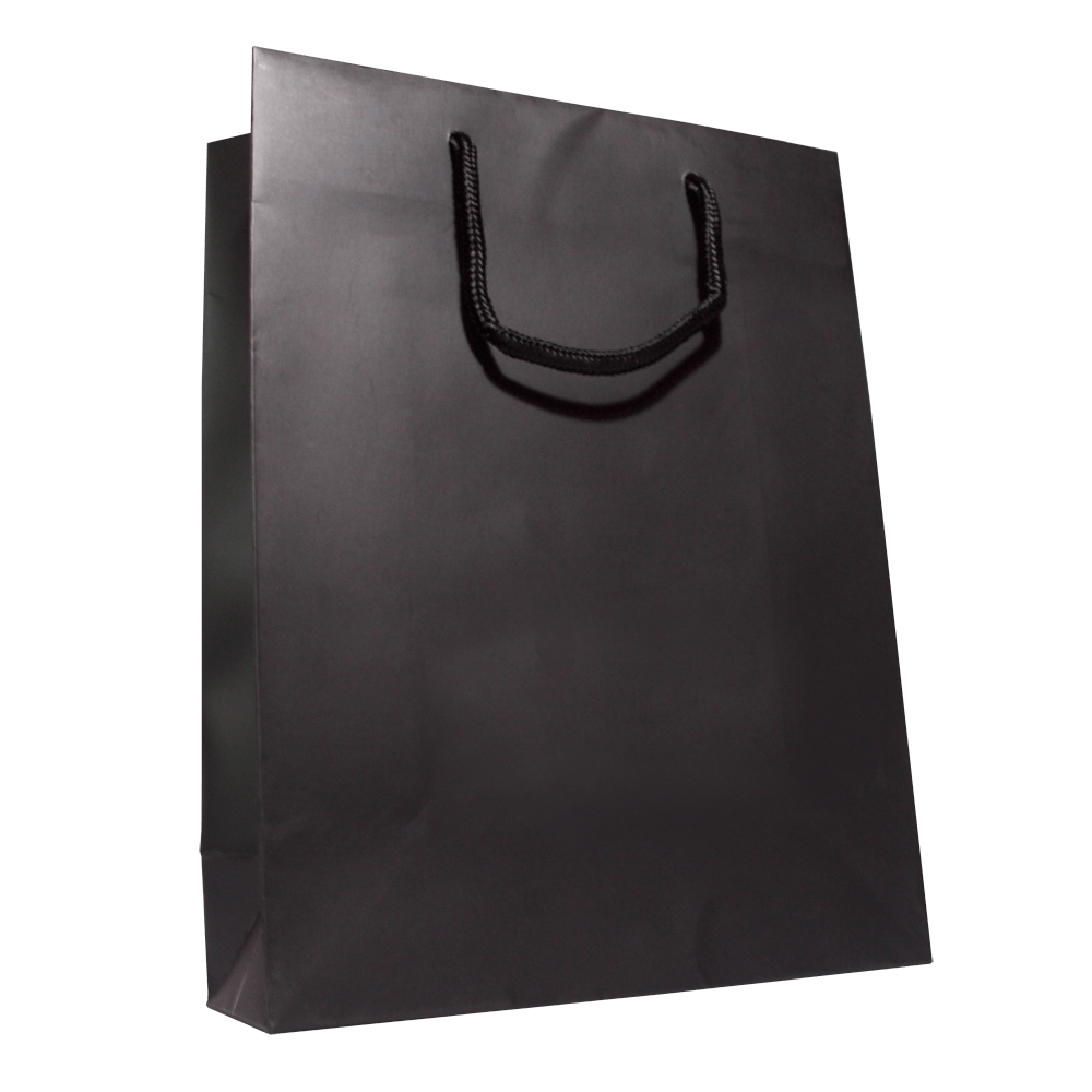 Shopping Bag Png Image Transparent PNG Image