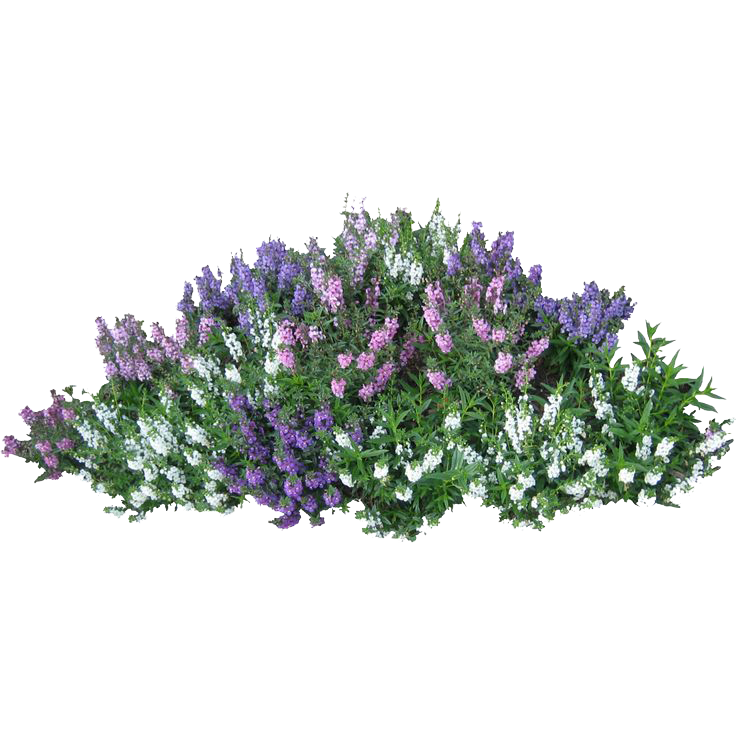 Bushes Transparent Transparent PNG Image