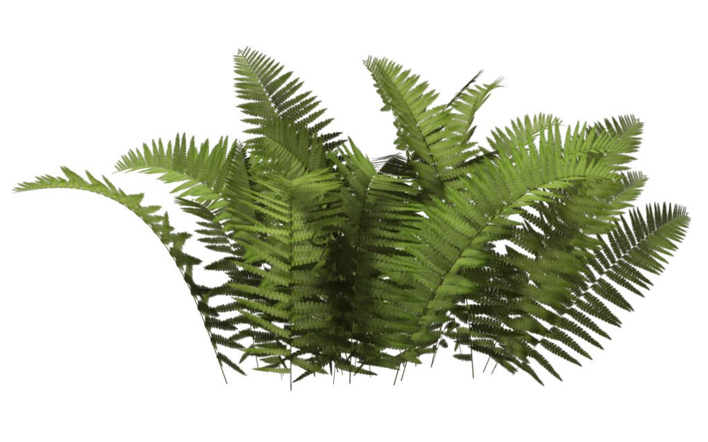 Bushes Png Clipart Transparent PNG Image