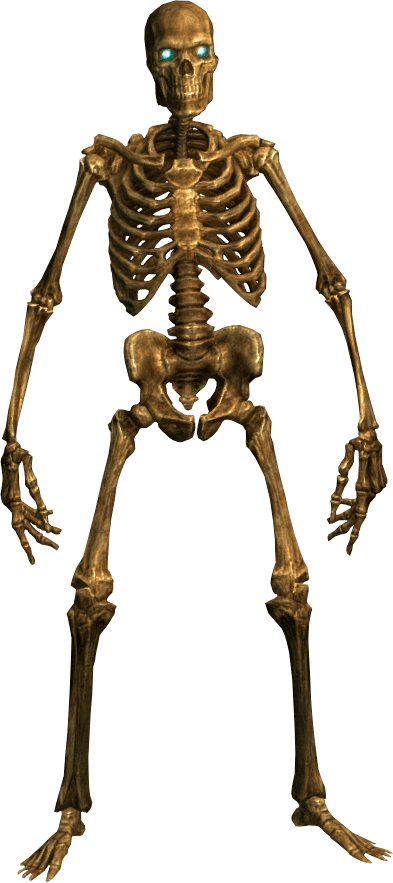 Skeleton Png Image Transparent PNG Image