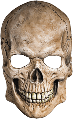 Skull Png Image Transparent PNG Image