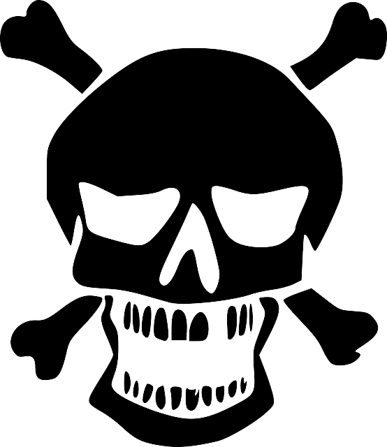 Skull Logo Png Image Transparent PNG Image