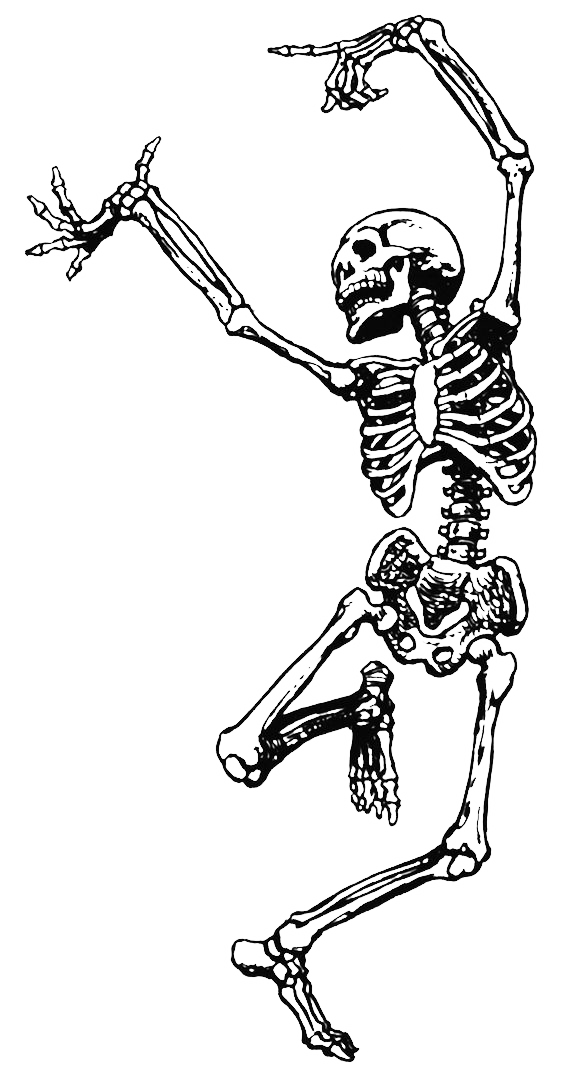 Dance Skeleton Human Skull Free PNG HQ Transparent PNG Image