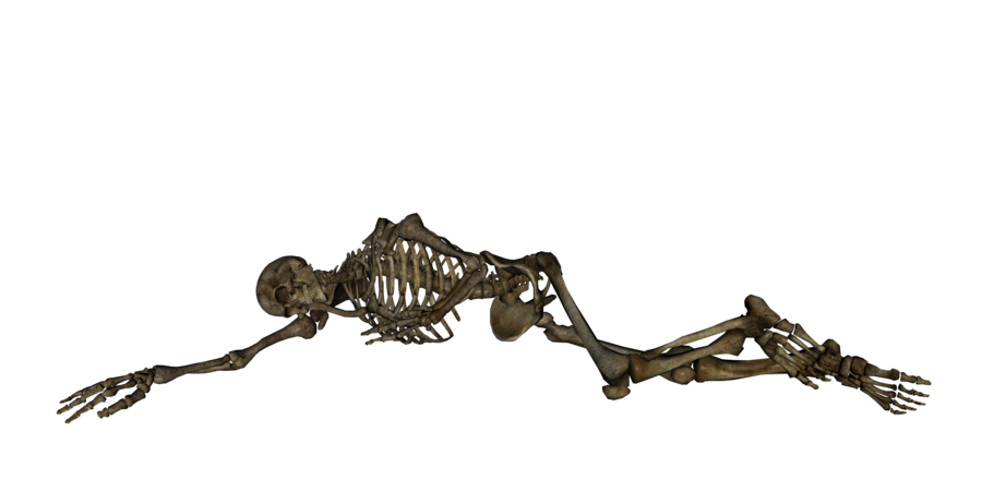 Skeleton Png Clipart Transparent PNG Image