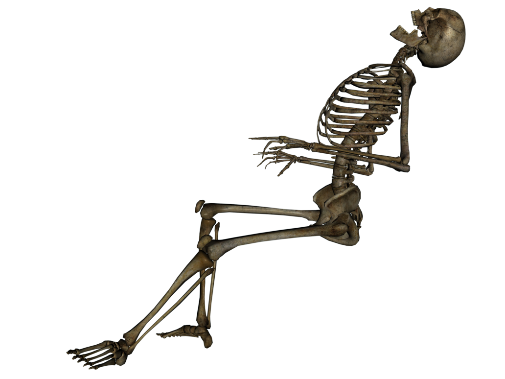 Skeleton Free Download Png Transparent PNG Image