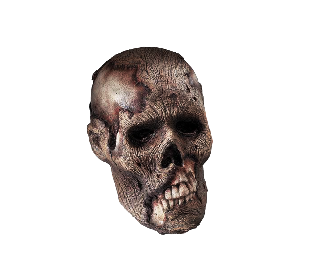 Skeleton Head Png Clipart Transparent PNG Image