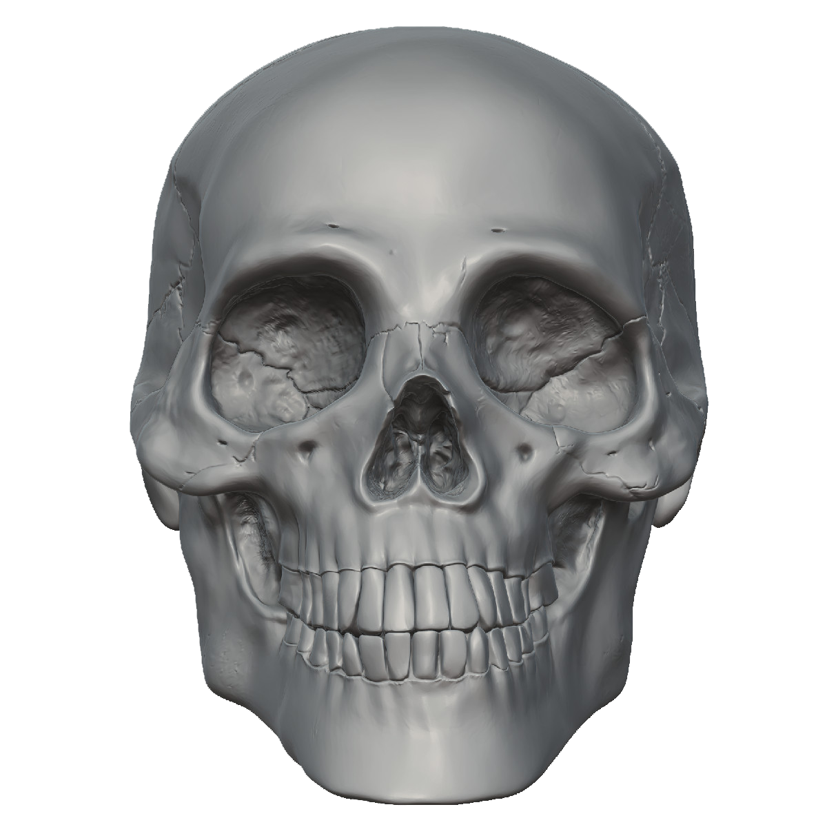 Skeleton Head Free Png Image Transparent PNG Image