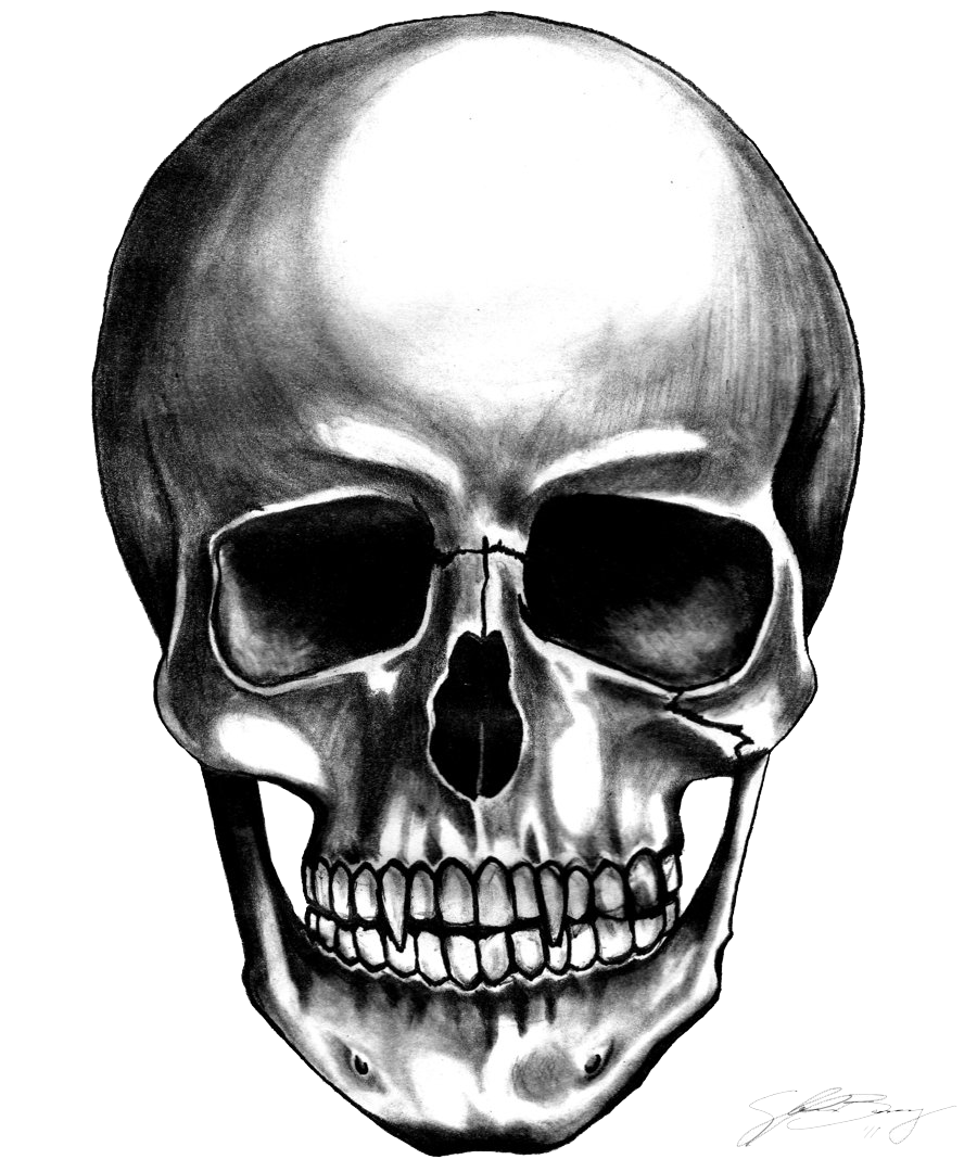 Skull Transparent Background Transparent PNG Image