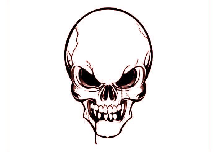 Euclidean Vector Skull Free Clipart HQ Transparent PNG Image