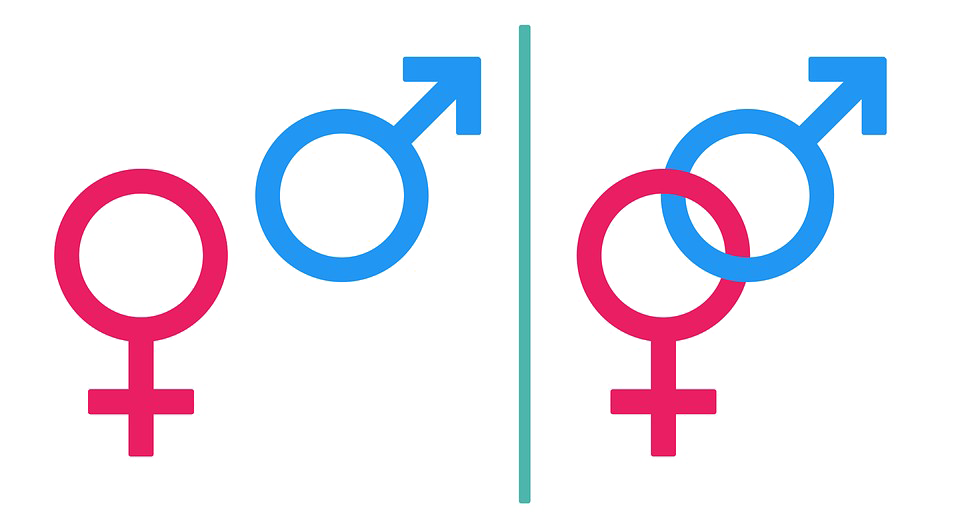 Gender Download Free Clipart HD Transparent PNG Image