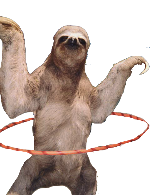 Sloth Png Hd Transparent PNG Image