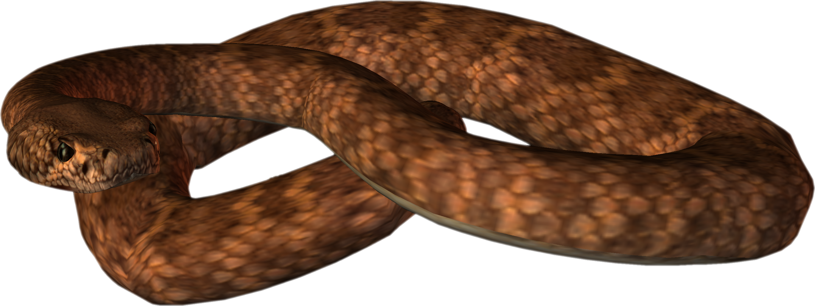 Snake Free Download Png Transparent PNG Image