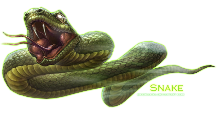 Snake Png Clipart Transparent PNG Image