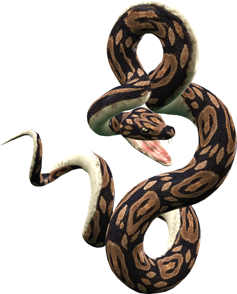 Snake Png Image Picture Download  Transparent PNG Image